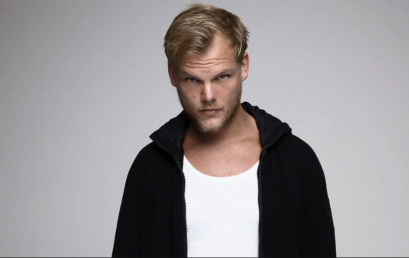 אביצ’י (Avicii), נקודת מבט אל העולם המוזיקלי