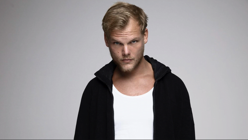 אביצ’י (Avicii), נקודת מבט אל העולם המוזיקלי